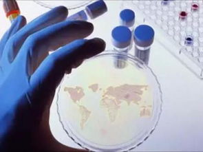 最新預(yù)測(cè)報(bào)告 未來(lái)全球石墨烯的九大發(fā)展趨勢(shì)